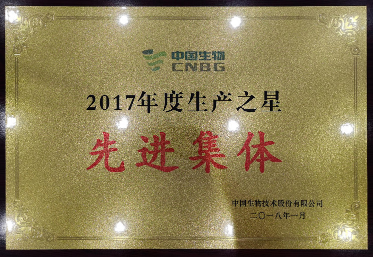 2017年度生产之星先进集体